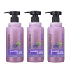 Pack of 3