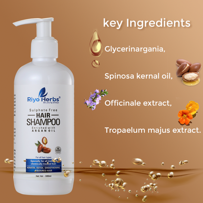 Argan Oil Hair Shampoo - For Chemically Treated Hair | Sulphate & Paraben Free
